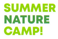Baltimore summer camps